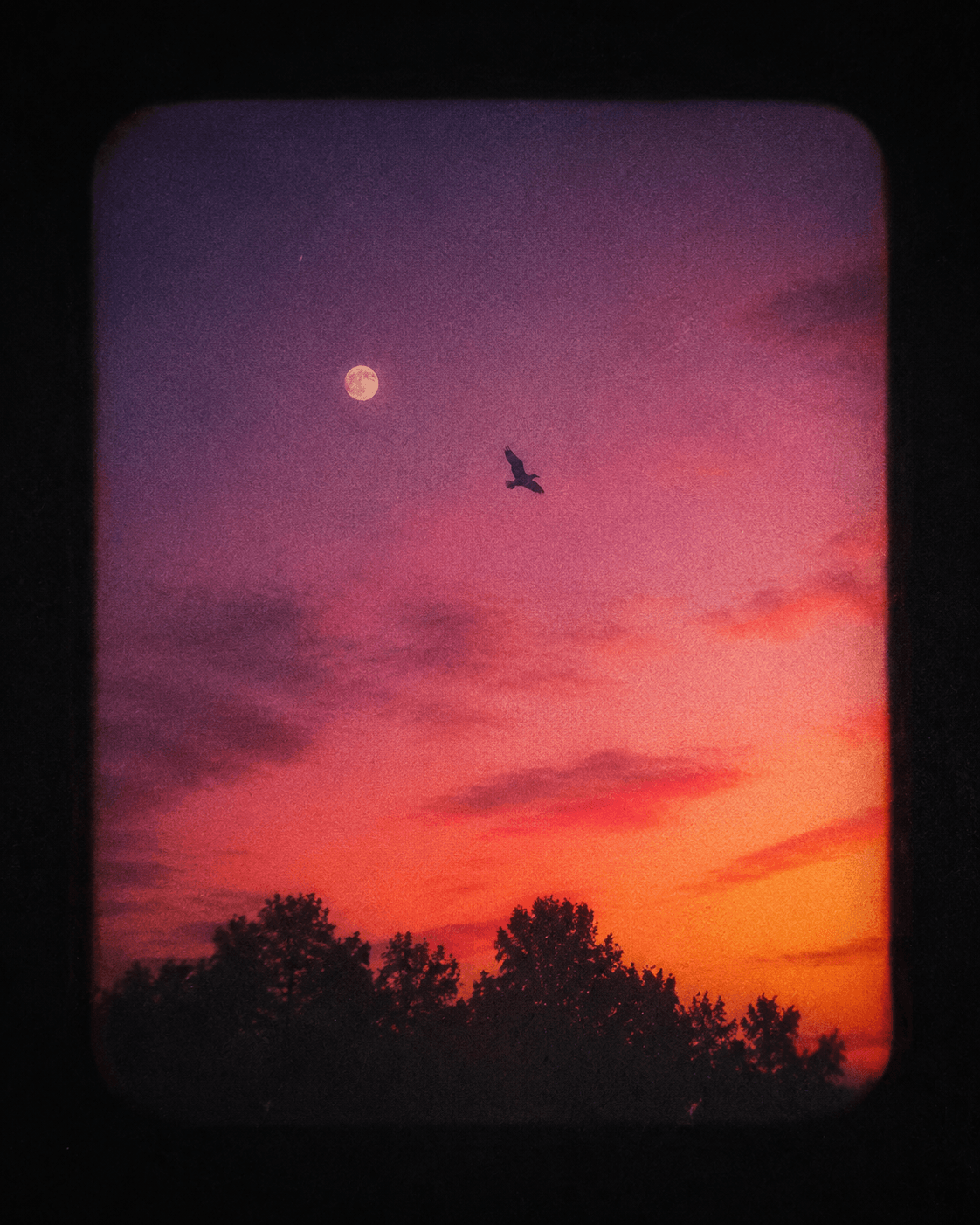 Lo-Fi-Lern-Beats